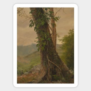 Tree with Vines, Jamaica, West Indies by Frederic Edwin Church Magnet